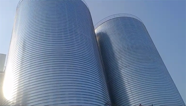 德惠2座混凝土高架卷板仓